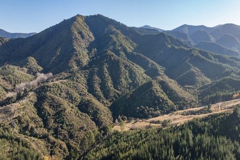 Photo of property in 168 Graham Valley Road, Motueka Valley, Motueka, 7196