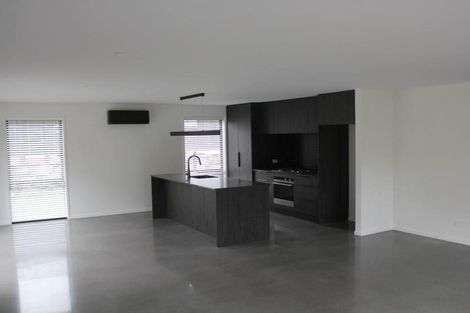 Photo of property in 23b Sycamore Grove, Lower Vogeltown, New Plymouth, 4310