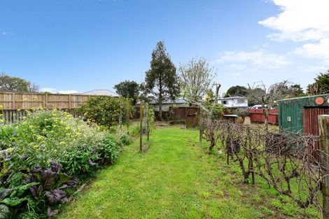 Photo of property in 52 Whitmore Street, Kihikihi, Te Awamutu, 3800