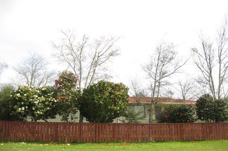 Photo of property in 12 Towai Street, Inglewood, 4330