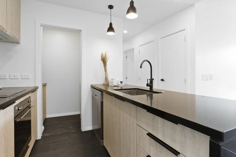 Photo of property in 510/8 Kingsland Terrace, Kingsland, Auckland, 1021