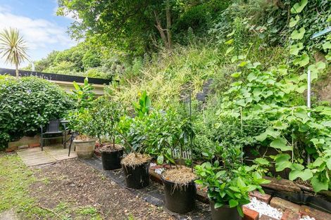 Photo of property in 343 Ohiro Road, Brooklyn, Wellington, 6021