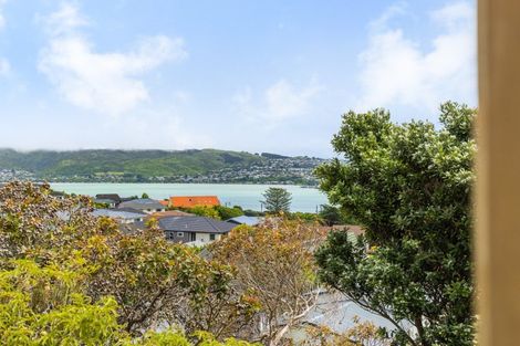 Photo of property in 17 Kinloch Place, Papakowhai, Porirua, 5024