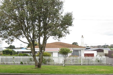 Photo of property in 17 Record Street, Fitzroy, New Plymouth, 4312