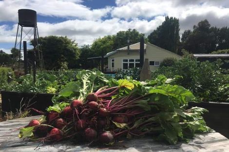 Photo of property in 146 Smithfield Road, Elgin, Ashburton, 7772