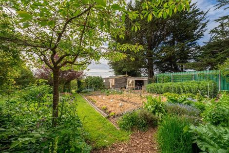 Photo of property in 56 Burgess Road, Herbert, Oamaru, 9495