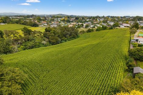 Photo of property in 6 Seales Road, Morrinsville, 3374