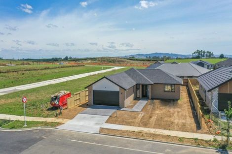 Photo of property in 66 Fairway Drive, Morrinsville, 3300