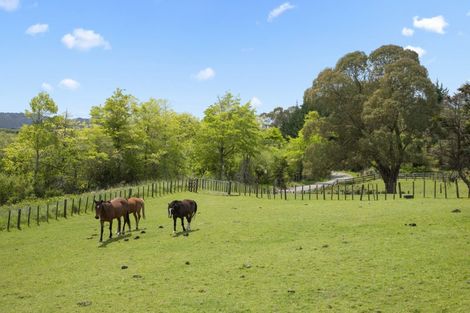 Photo of property in 8 Mcintyre Road, Mercer, 2474