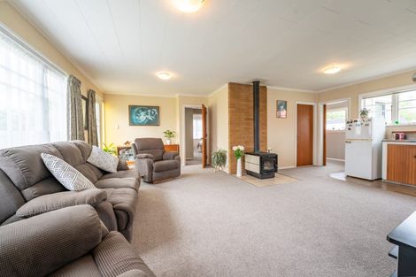 Photo of property in 29 Harris Street, Pleasant Point, 7903