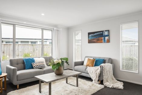 Photo of property in 16 Boysenberry Grove, Richmond, 7020