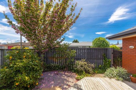 Photo of property in 113 Charles Street, Blenheim, 7201