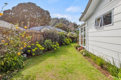 Photo of property in 125a Wilson Street, Thames, 3500