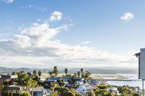 Photo of property in 19 Hospital Terrace, Hospital Hill, Napier, 4110