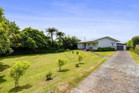 Photo of property in 114 Ariel Street, Stratford, 4332