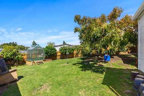 Photo of property in 1 Clifton Terrace, Brookfield, Tauranga, 3110