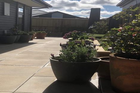 Photo of property in 10 Booth Way, Belfast, Christchurch, 8051