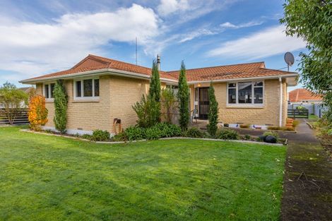 Photo of property in 4a Mccarthy Terrace, Waipukurau, 4200