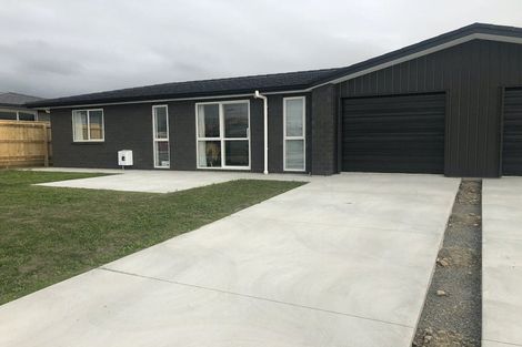 Photo of property in 87 Hinemoa Street, Levin, 5510