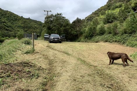 Photo of property in 1044 Pakihi Road, Toatoa, Opotiki, 3197