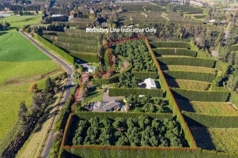 Photo of property in 203 Rea Road, Tahawai, Katikati, 3178
