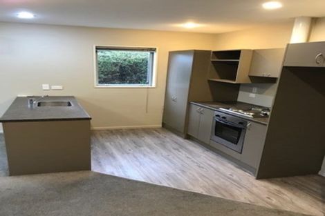 Photo of property in 145 Purchas Street, Edgeware, Christchurch, 8013