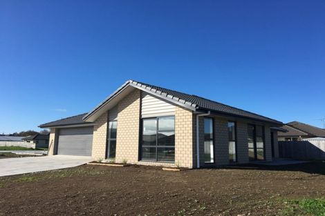 Photo of property in 217 Borman Road, Rototuna North, Hamilton, 3210