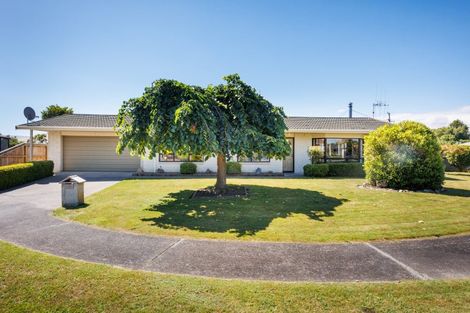 Photo of property in 2 Higgin Place, Feilding, 4702