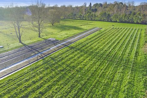 Photo of property in 426c Rotokauri Road, Rotokauri, Hamilton, 3289
