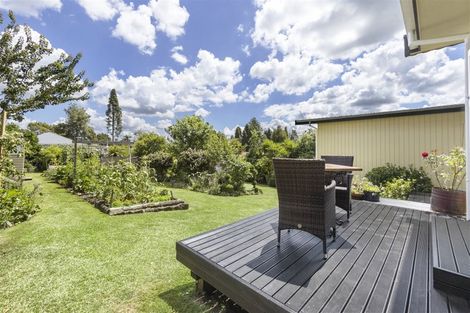 Photo of property in 18 Terrace Street, Putaruru, 3411