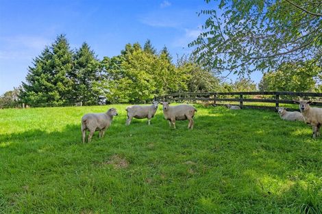 Photo of property in 1 Banksia Place, Tikitere, Rotorua, 3074