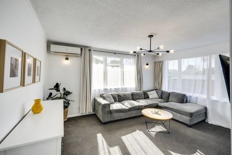 Photo of property in 49 Williams Street, Marewa, Napier, 4110