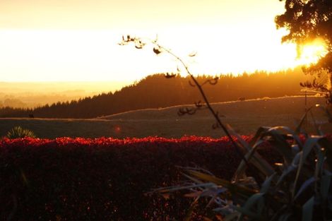 Photo of property in 745 No 4 Road, Te Puke, 3183