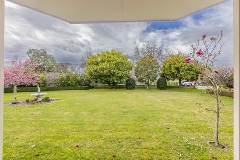 Photo of property in 208 Porangahau Road, Waipukurau, 4200