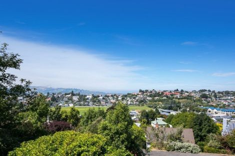 Photo of property in 53 Prospect Bank, Wakari, Dunedin, 9010