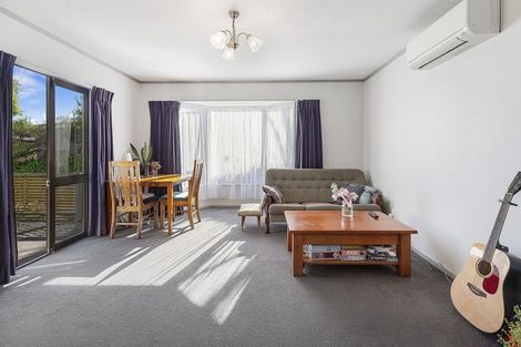 Photo of property in 3/115 Owen Street, Newtown, Wellington, 6021