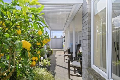 Photo of property in 36a Malfroy Road, Victoria, Rotorua, 3010