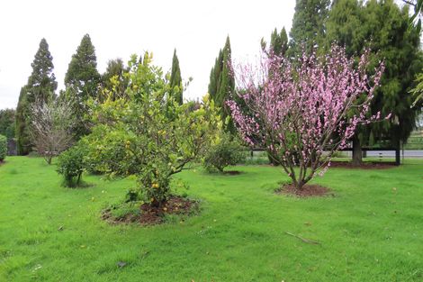 Photo of property in 1 Powell Lane, Waiau Pa, Pukekohe, 2679