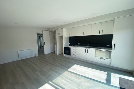 Photo of property in 18 D'arcy Street, Richmond, 7020