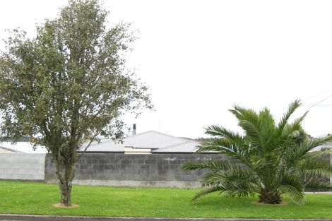 Photo of property in 15 Record Street, Fitzroy, New Plymouth, 4312