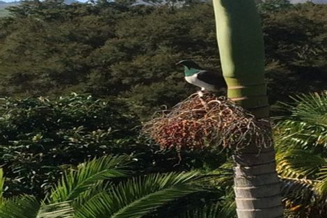 Photo of property in 17 Upland Road, Huntly, 3700