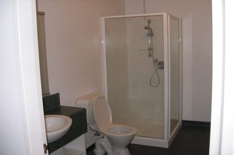 Photo of property in Dixonlane Apartments, 24/7 Feltex Lane, Te Aro, Wellington, 6011