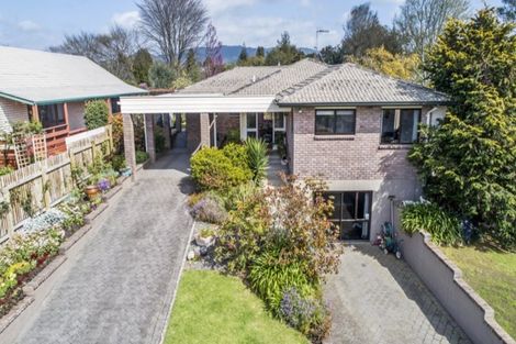 Photo of property in 19 Norrie Street, Te Puke, 3119