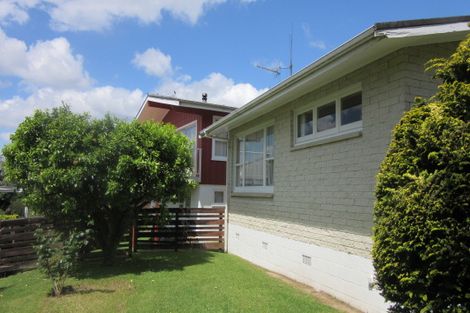 Photo of property in 147 Tirau Street, Putaruru, 3411