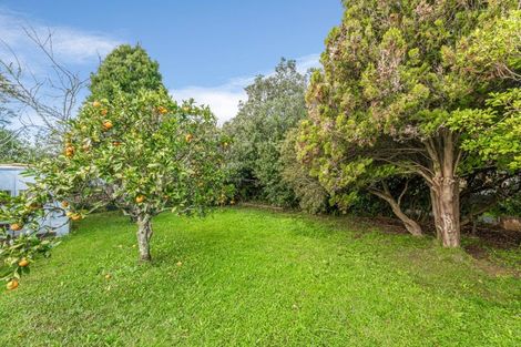 Photo of property in 9 Kuaka Place, New Lynn, Auckland, 0600