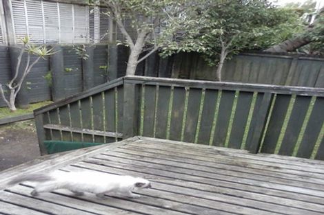 Photo of property in 10a Roxy Terrace, Glendowie, Auckland, 1071