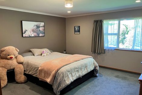 Photo of property in 101 Seafield Road, Netherby, Ashburton, 7772