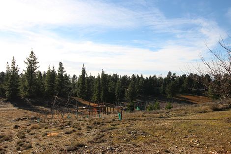 Photo of property in 154 Hillview Road, Alexandra, 9391