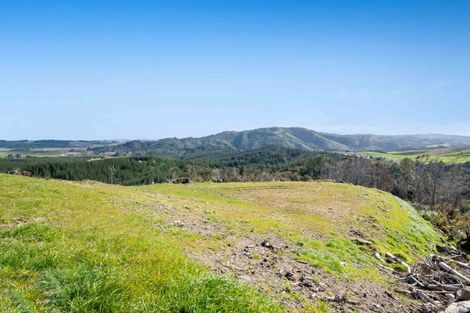 Photo of property in 197 Tuhirangi Road, Makarau, 0984