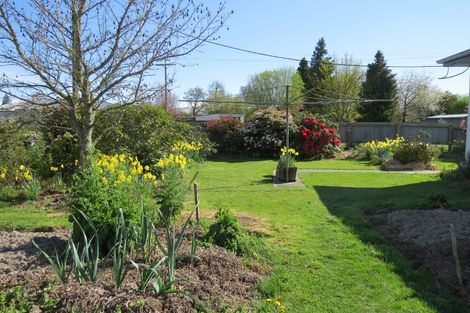 Photo of property in 17 Princes Street, Fairlie, 7925